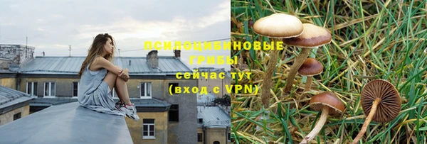 гашиш Арсеньев
