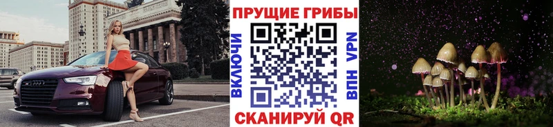 Купить где Сухиничи Псилоцибиновые грибы GOLDEN TEACHER
